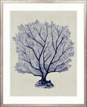 Coral SPLENDOUR (Indigo) X by Designer Boys, a Premium Art for sale on Style Sourcebook