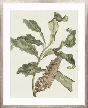 Denata Specimen by Designer Boys, a Premium Art for sale on Style Sourcebook