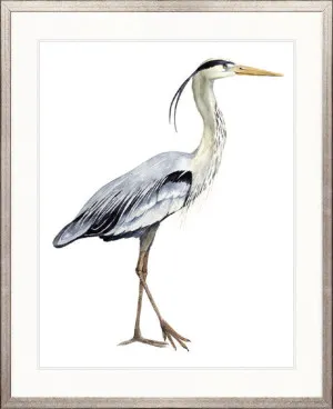 Watercolour Sea Bird I by Designer Boys, a Premium Art for sale on Style Sourcebook