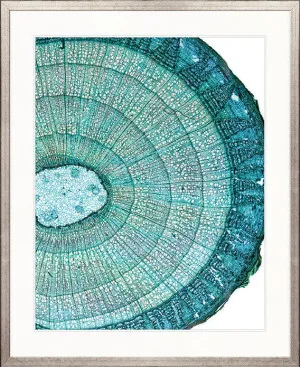 Nature's Abstract I by Designer Boys, a Premium Art for sale on Style Sourcebook
