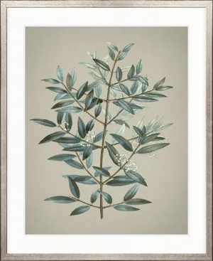 Kettering Foliage I by Designer Boys, a Premium Art for sale on Style Sourcebook