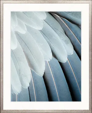 La Plume I by Designer Boys, a Premium Art for sale on Style Sourcebook