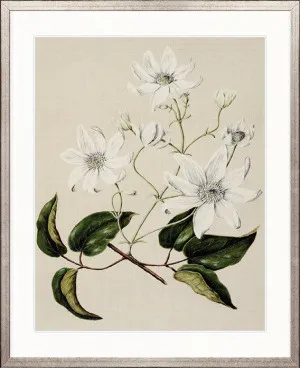 Coastal Native I by Designer Boys, a Premium Art for sale on Style Sourcebook