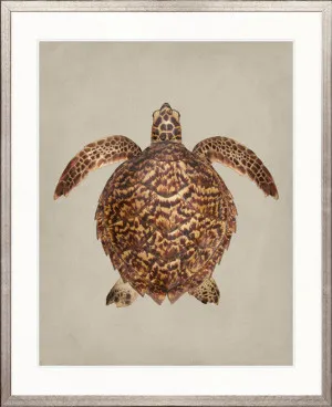z. Majestic Turtle II by Designer Boys, a Premium Art for sale on Style Sourcebook