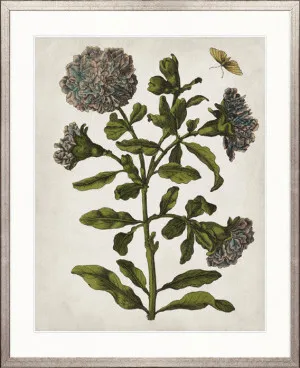 Vintage Floral III by Designer Boys, a Premium Art for sale on Style Sourcebook