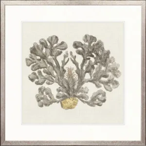 Natural Coral V by Designer Boys, a Premium Art for sale on Style Sourcebook