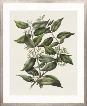 Botanical Bliss V by Designer Boys, a Premium Art for sale on Style Sourcebook