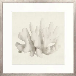 Fanciful Coral II by Designer Boys, a Premium Art for sale on Style Sourcebook