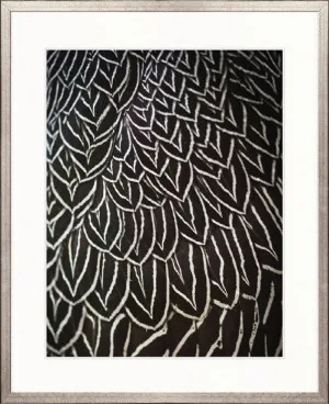 Simple Feather II by Designer Boys, a Premium Art for sale on Style Sourcebook