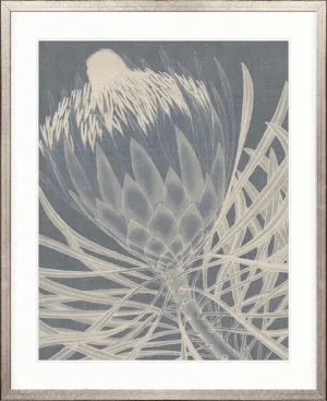 Protea Silhouette III by Designer Boys, a Premium Art for sale on Style Sourcebook