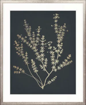 Luxe Foliage V by Designer Boys, a Premium Art for sale on Style Sourcebook