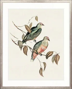 Shildon Birds I by Designer Boys, a Premium Art for sale on Style Sourcebook