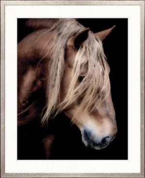 Equestre VI by Designer Boys, a Premium Art for sale on Style Sourcebook