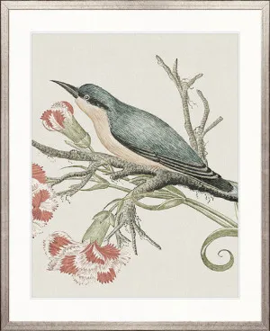 Ariala Bird VII by Designer Boys, a Premium Art for sale on Style Sourcebook