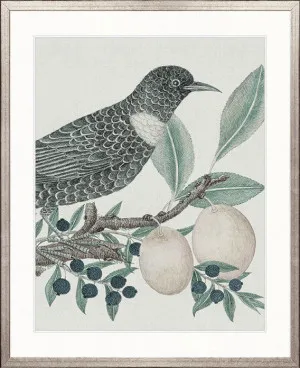 Ariala Bird VI by Designer Boys, a Premium Art for sale on Style Sourcebook