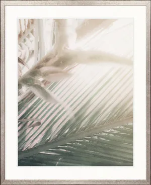Gardiners Palms V by Designer Boys, a Premium Art for sale on Style Sourcebook