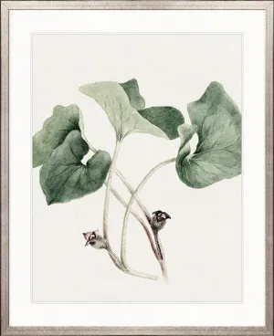 Phillipson Floral IX by Designer Boys, a Premium Art for sale on Style Sourcebook