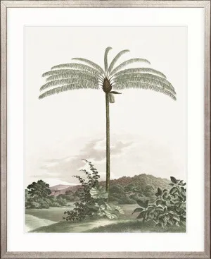 Vintage Palm Study I by Designer Boys, a Premium Art for sale on Style Sourcebook