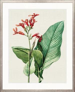 Lush Tropic VIII by Designer Boys, a Premium Art for sale on Style Sourcebook