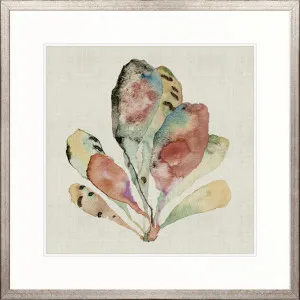 Delicate Coral II by Designer Boys, a Premium Art for sale on Style Sourcebook