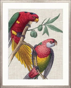 Exotic Parrots I by Designer Boys, a Premium Art for sale on Style Sourcebook