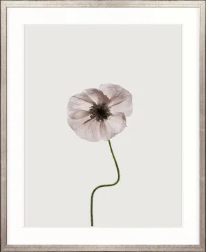 Floret IV by Designer Boys, a Premium Art for sale on Style Sourcebook