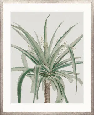 Bellevardi Tropic III by Designer Boys, a Premium Art for sale on Style Sourcebook