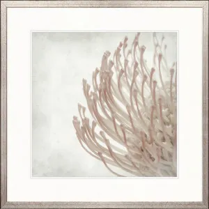 Protea Beauty I by Designer Boys, a Premium Art for sale on Style Sourcebook