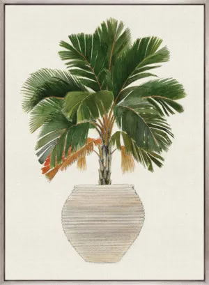 Palm Beauty V (Canvas) by Designer Boys, a Premium Art for sale on Style Sourcebook