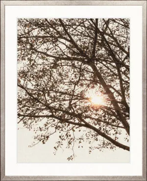 Canopy Silhouette VI by Designer Boys, a Premium Art for sale on Style Sourcebook