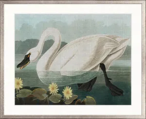 Exquisite Bird VIII by Designer Boys, a Premium Art for sale on Style Sourcebook