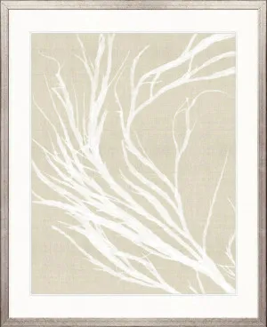 Seaweed Harmony IV by Designer Boys, a Premium Art for sale on Style Sourcebook