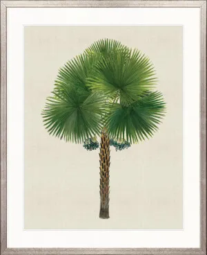 Kebaya Palm IX by Designer Boys, a Premium Art for sale on Style Sourcebook