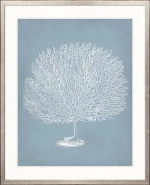 Curious Coral Delight VII by Designer Boys, a Premium Art for sale on Style Sourcebook