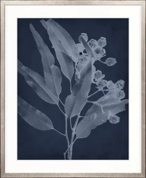Foliage Splendour (Indigo) I by Designer Boys, a Premium Art for sale on Style Sourcebook