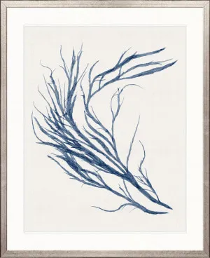 Seaweed Subject XXI (Indigo) by Designer Boys, a Premium Art for sale on Style Sourcebook