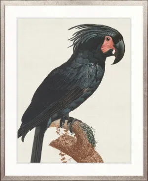 Naturelle des Perroquet IV by Designer Boys, a Premium Art for sale on Style Sourcebook