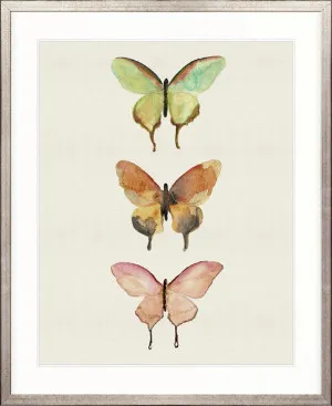 Butterfly Trio IV by Designer Boys, a Premium Art for sale on Style Sourcebook