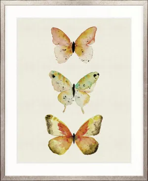 Butterfly Trio I by Designer Boys, a Premium Art for sale on Style Sourcebook
