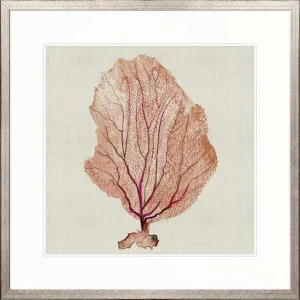 Delicate Coral I by Designer Boys, a Premium Art for sale on Style Sourcebook