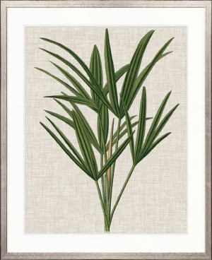 Tropical Evergreen III by Designer Boys, a Premium Art for sale on Style Sourcebook
