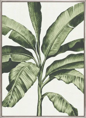 Tranquil Tropics I (Canvas) by Designer Boys, a Premium Art for sale on Style Sourcebook