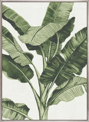 Tranquil Tropics II (Canvas) by Designer Boys, a Premium Art for sale on Style Sourcebook