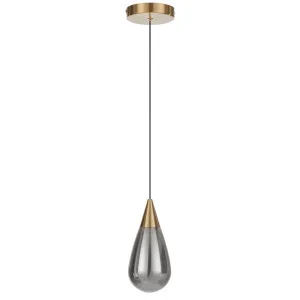 Telbix Atico Teardrop Glass LED Pendant with Gold Accent Smoke by Telbix, a Lighting for sale on Style Sourcebook