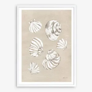 Beach Treasures II Art Print by The Print Emporium, a Prints for sale on Style Sourcebook