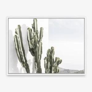 Cactus Summer Photo Canvas Print by The Print Emporium, a Prints for sale on Style Sourcebook