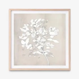 Soft Bloom (Square) Art Print by The Print Emporium, a Prints for sale on Style Sourcebook