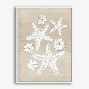 Beach Treasures I Canvas Print by The Print Emporium, a Prints for sale on Style Sourcebook