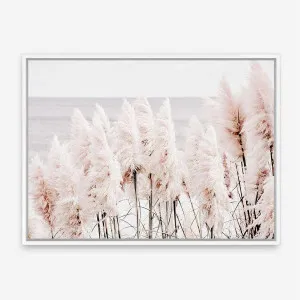 Pampas Grass II Photo Canvas Print by The Print Emporium, a Prints for sale on Style Sourcebook