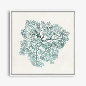 Teal Coral I (Square) Canvas Print by The Print Emporium, a Prints for sale on Style Sourcebook